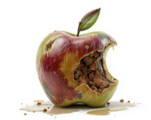 KINEWS24.de - Apple Illusion of Thinking Gegen-Studie beweist, warum Apple komplett falsch liegt